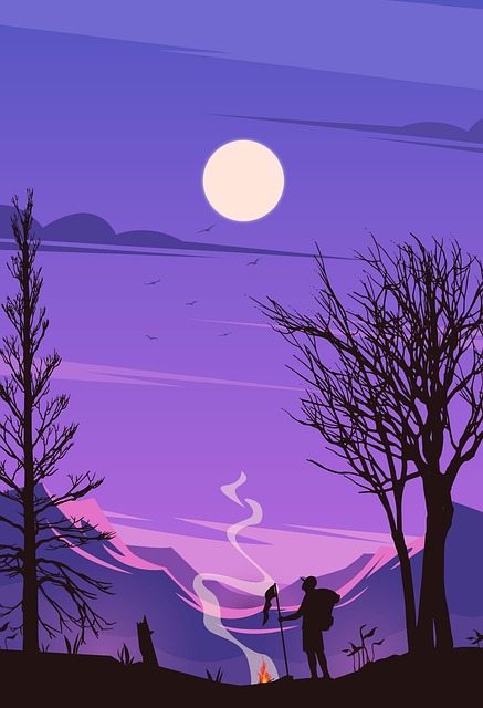 Free man fire forest illustration