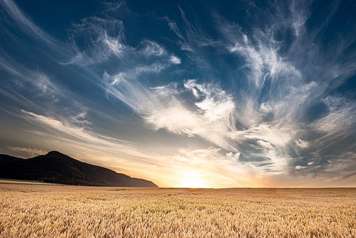 Repubblica Ceca, Tramonto, Campo