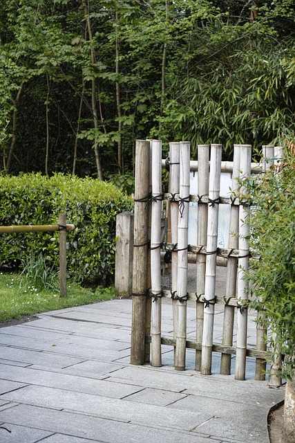 Free Bamboo Garden photo and picture