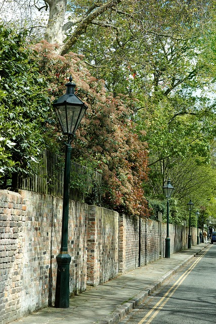 Free Street London photo and picture