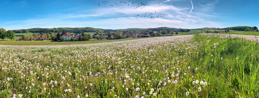 Free Dorf Schwäbische Alb photo and picture