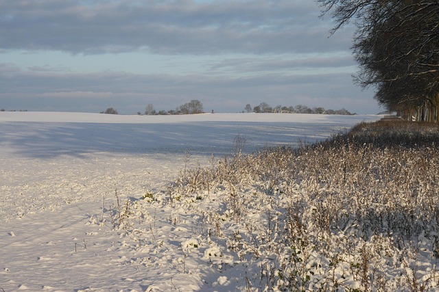 Vinterlandskab, Mark, Natur, Landbrug