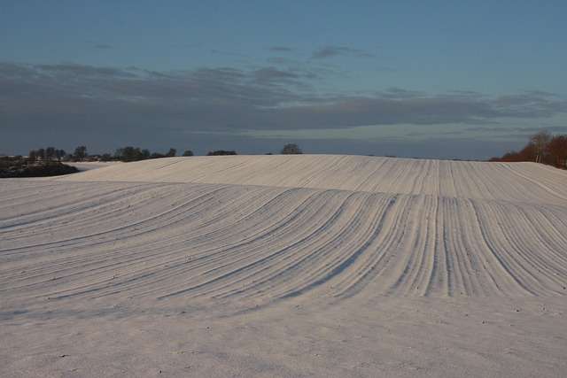 Felt, Sne, Vinter, Landskab, Natur