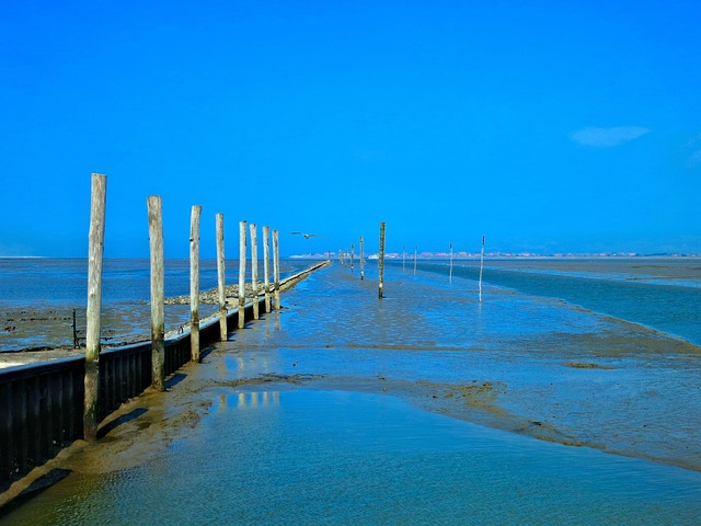 Extensión, Agua, Mar, Mar Del Norte