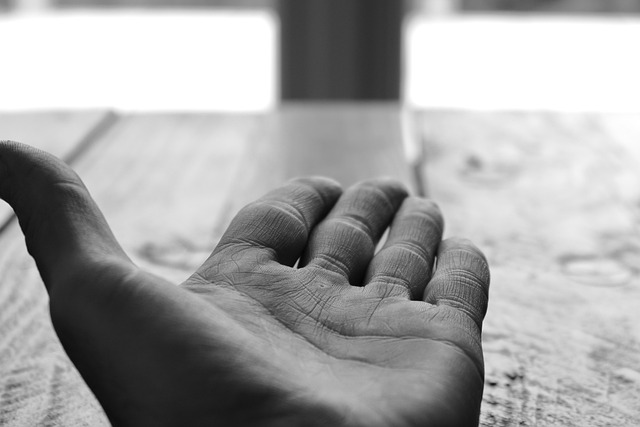 Free Hand Palm photo and picture