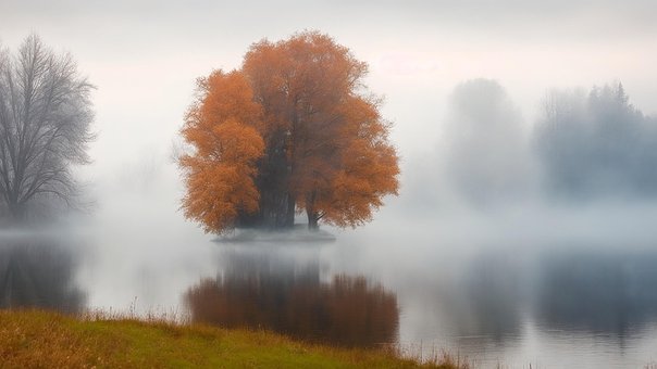 Free Landscape Fog illustration and picture