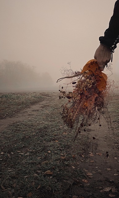 Free Autumn Passing Away photo and picture