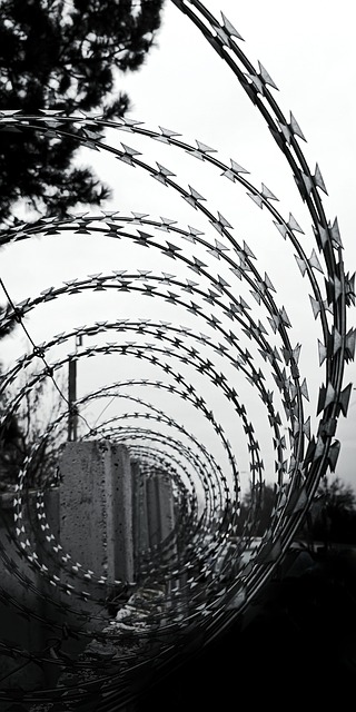 Free Prison Confinement photo and picture