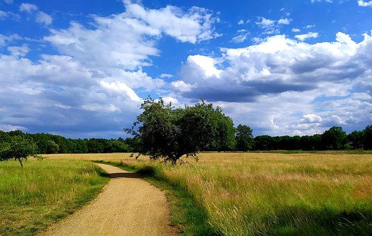 Free Path Landscape photo and picture