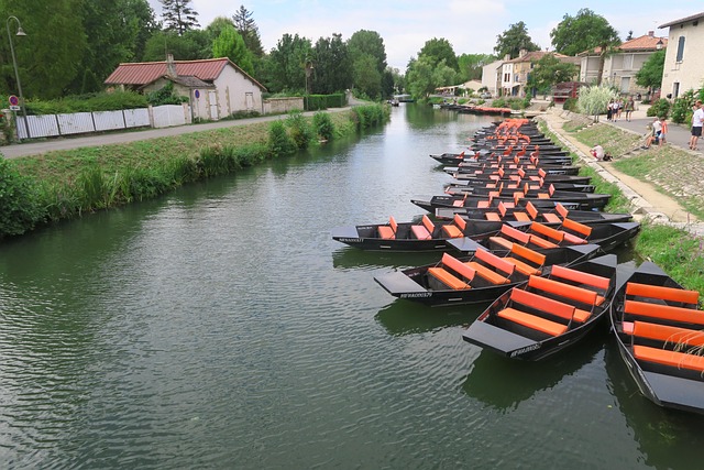 Barque, Čln, Poitevinský Močiar, Močiar