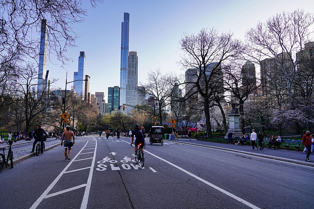 Free Central Park New York photo and picture