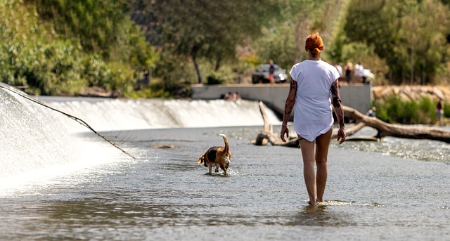 Vrouw, Wandelen, Hond, Waterval, Rivier