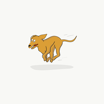 Hund, Kæledyr, Dyr, Løb, Spille, Hunde