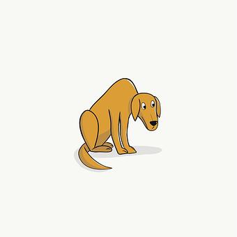 Hund, Kæledyr, Spille, Hunde, Dyr