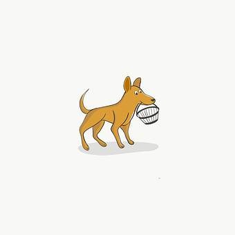 Hund, Kæledyr, Løb, Spille, Hunde