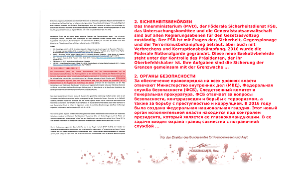 Elenavasilyeva, Österreich, Negativ