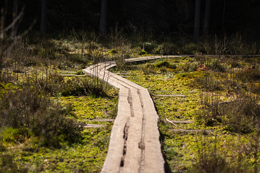 Free Footbridge Peat Bog photo and picture