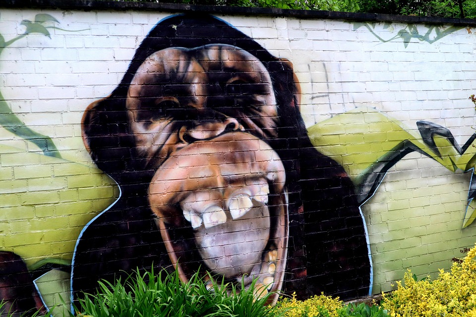 Street Art Ape Wall Free photo on Pixabay Pixabay
