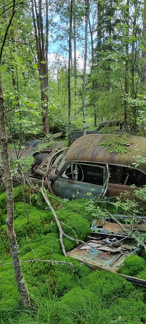 Abandonado, Carros, Ferrugem, Frente