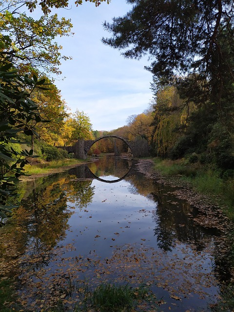 Free Bridge Park photo and picture