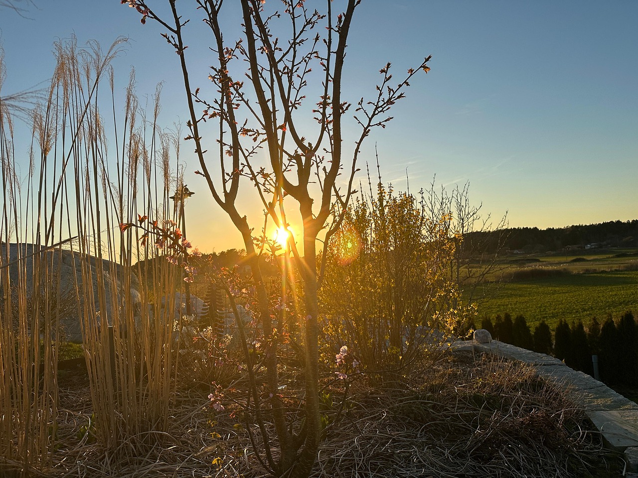 Le Coucher Du Soleil Jardin Photo Gratuite Sur Pixabay Pixabay