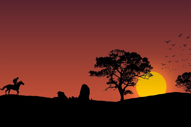 Free sunset silhouette landscape illustration