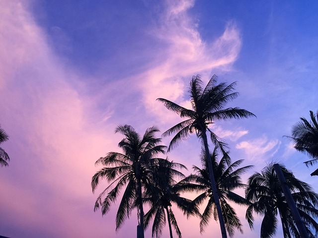 Free Blue Sky Sky photo and picture