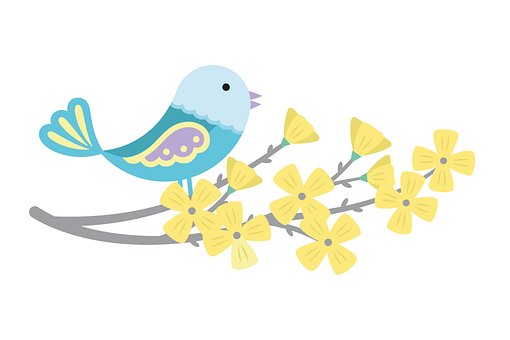 Free Spring Bird illustration and picture