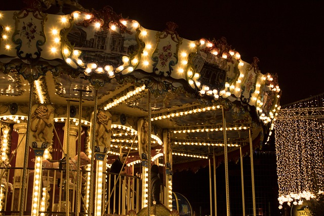 Free Attraction Swing photo and picture