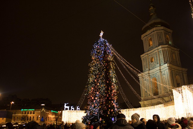 Free Tree Holiday photo and picture