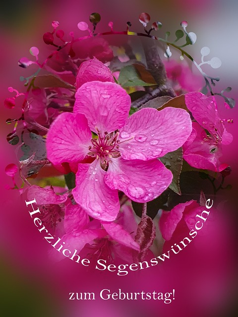 Free Flower Blossom photo and picture