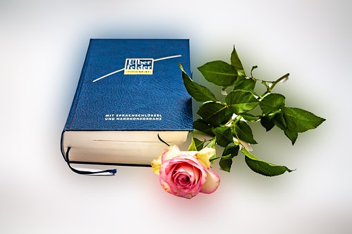 Free Bible Rose photo and picture