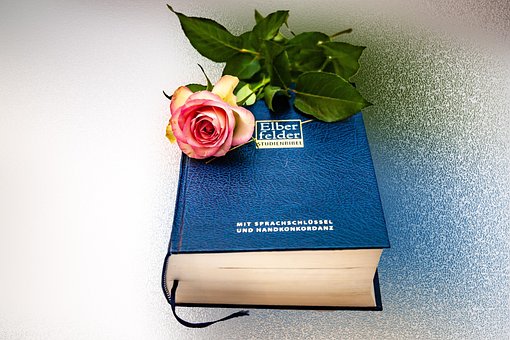 Free Bible Pray photo and picture