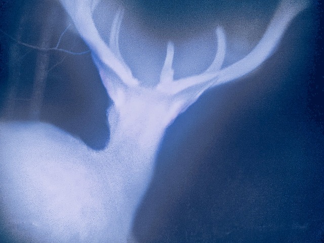 Free Surreal Mystical photo and picture