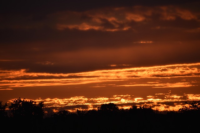 Free Sunset Golden photo and picture