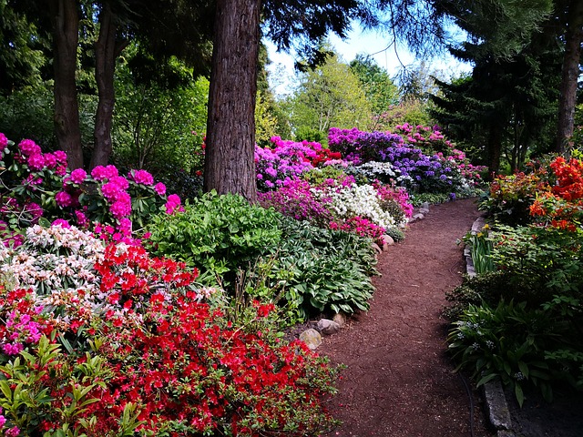 Jardín, Sendero, Flores, Flor