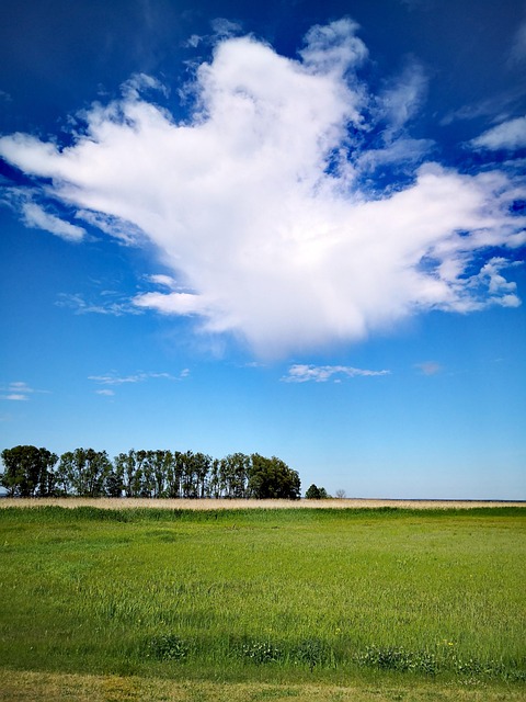 Nubes, Prado, El Verano, Naturaleza