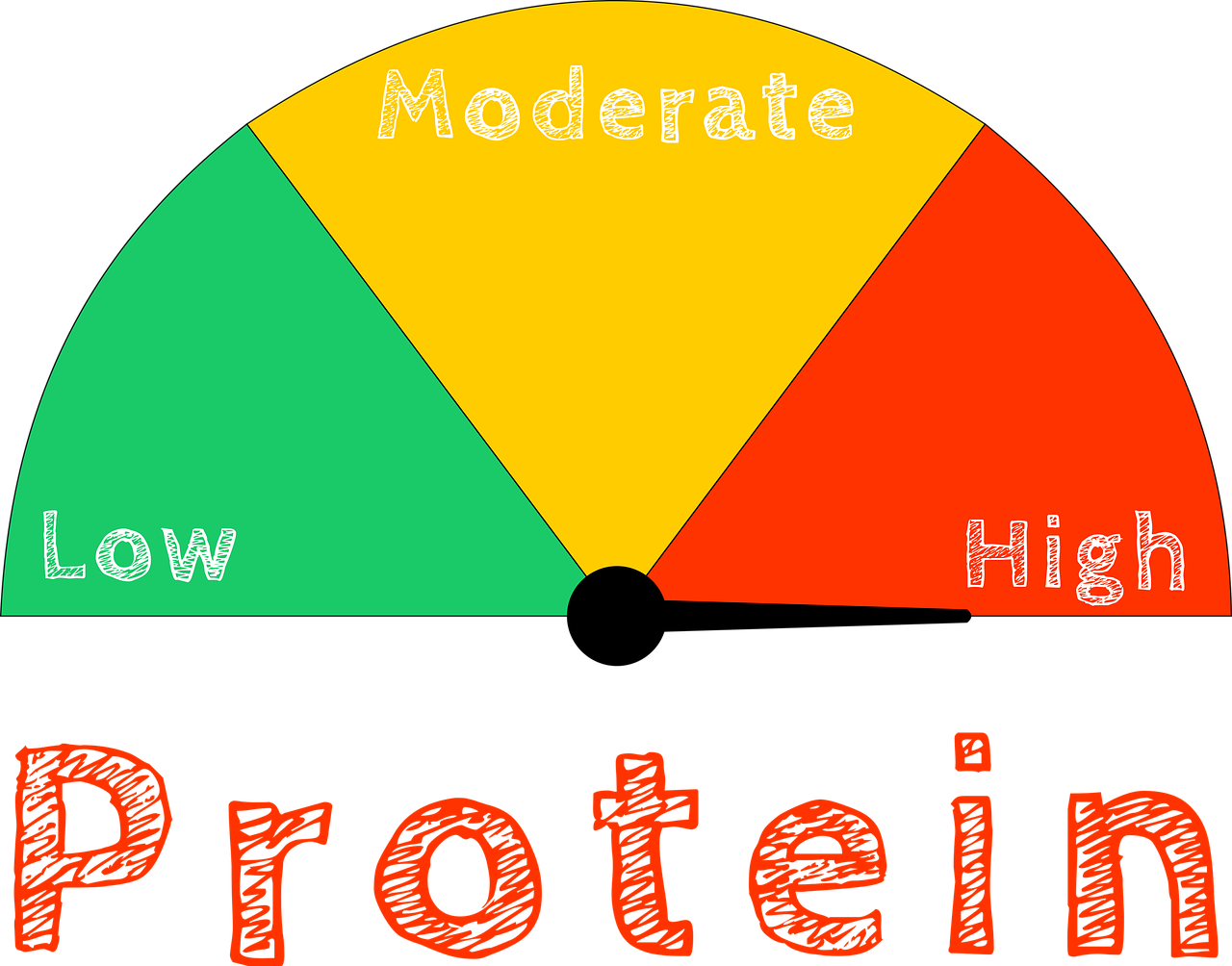 Download Protein Indicator Nutrition Royalty Free Stock Illustration 