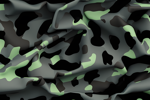 Free Camouflage Army illustration and picture