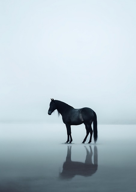 Download Ai Generated Horse Royalty-Free Stock Illustration Image - Pixabay