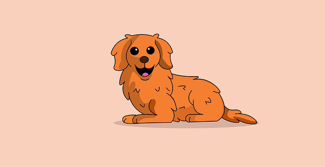 Perro, Mascota, Cachorro, Animal