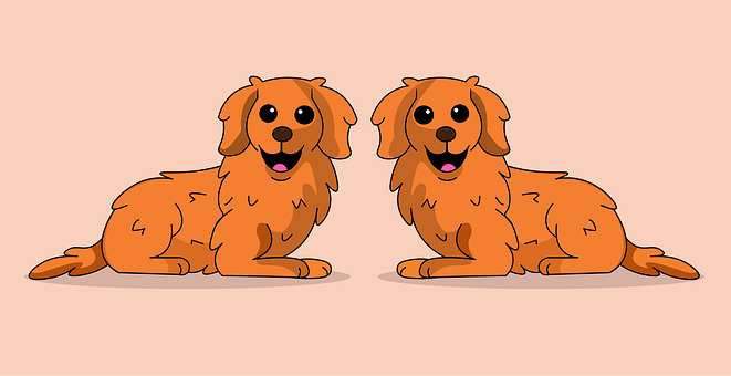 Perro, Cachorro, Canino, Mascota
