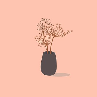 Stueplante, Plante, Blade, Natur, Grene