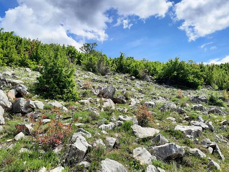 Free Nature Landscape photo and picture