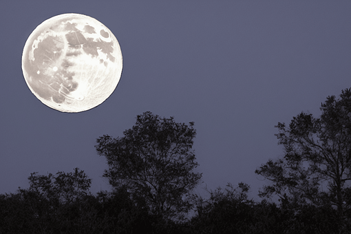 Free Moon Astronomy illustration and picture