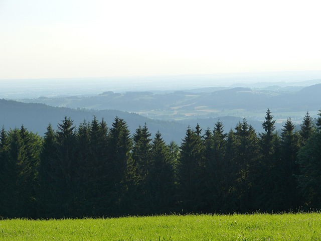 Free Bavarian Forest Germany photo and picture