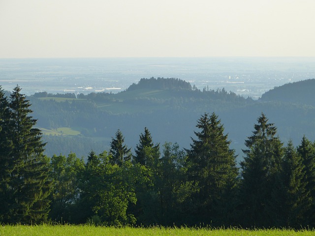 Free Bavarian Forest Germany photo and picture