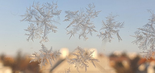 Free Snow Flake photo and picture
