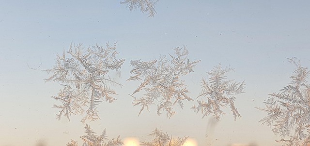 Free Snow Flake photo and picture