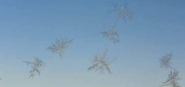 Free Snow Flake photo and picture